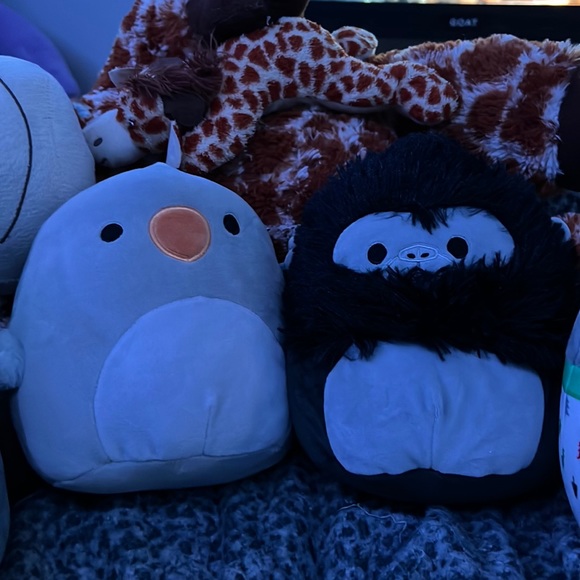 Squishmallows Other - Squishmallow Bundle!